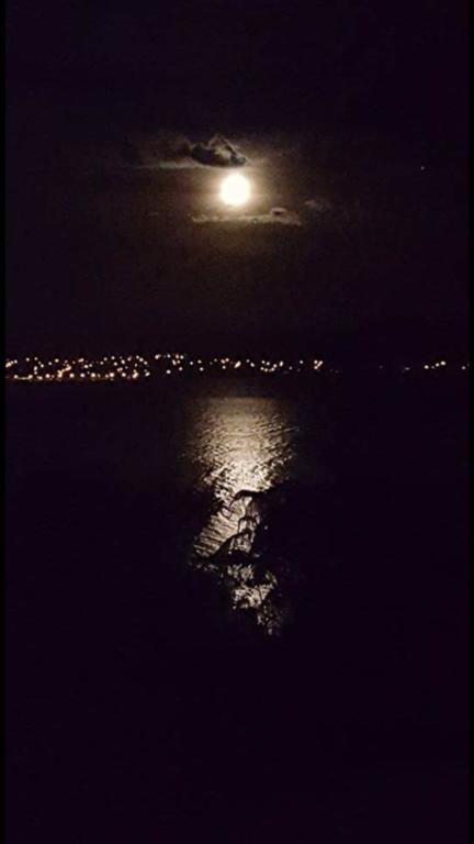 Serenity On Wakeman Lago Lago Taupo Esterno foto